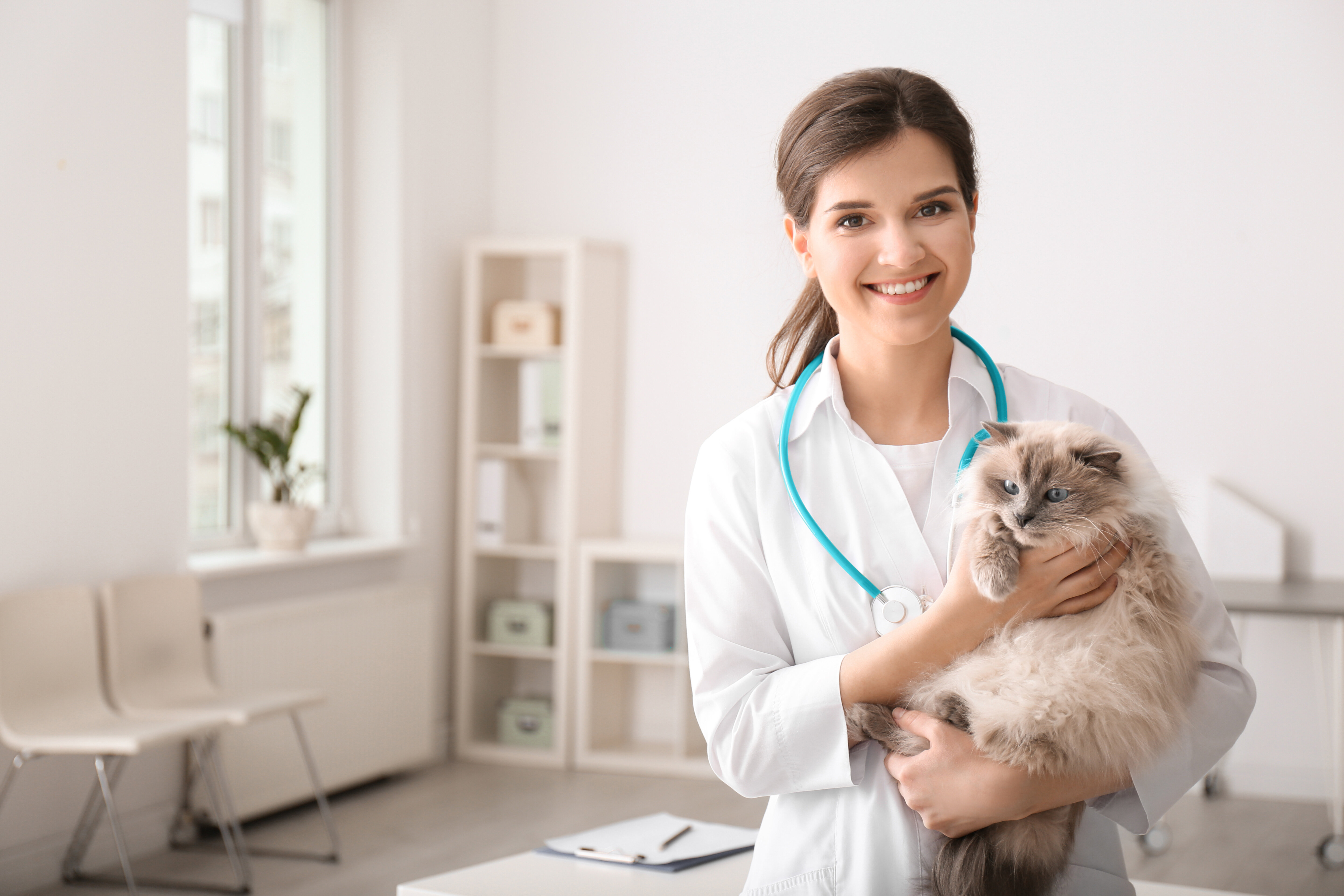 Tierärztin mit Katze